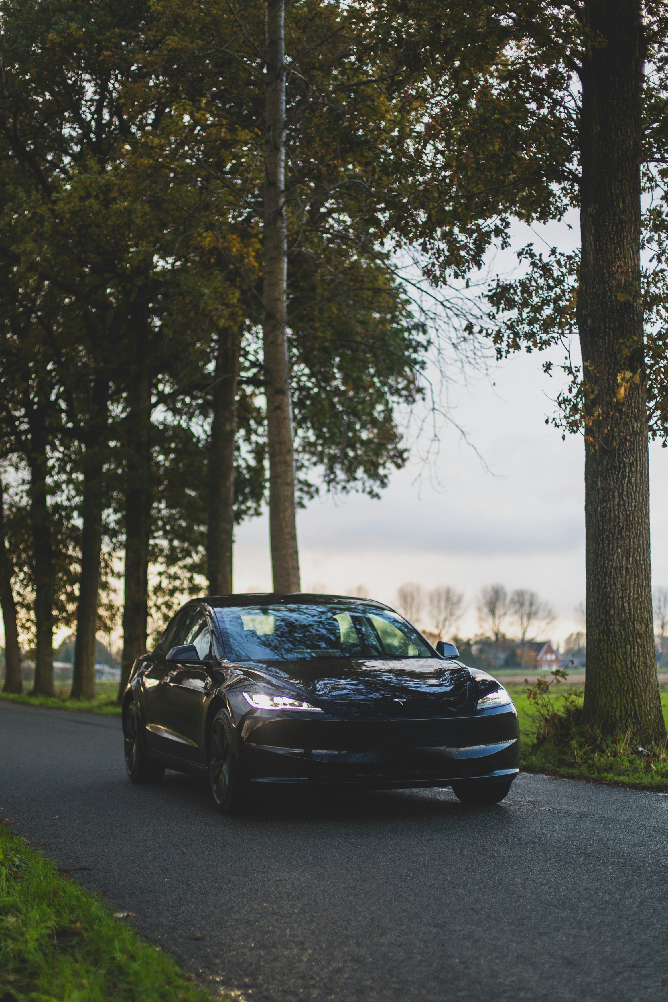 Tesla Model 3 driving down a tree-lined road